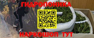 спиды Гусь-Хрустальный