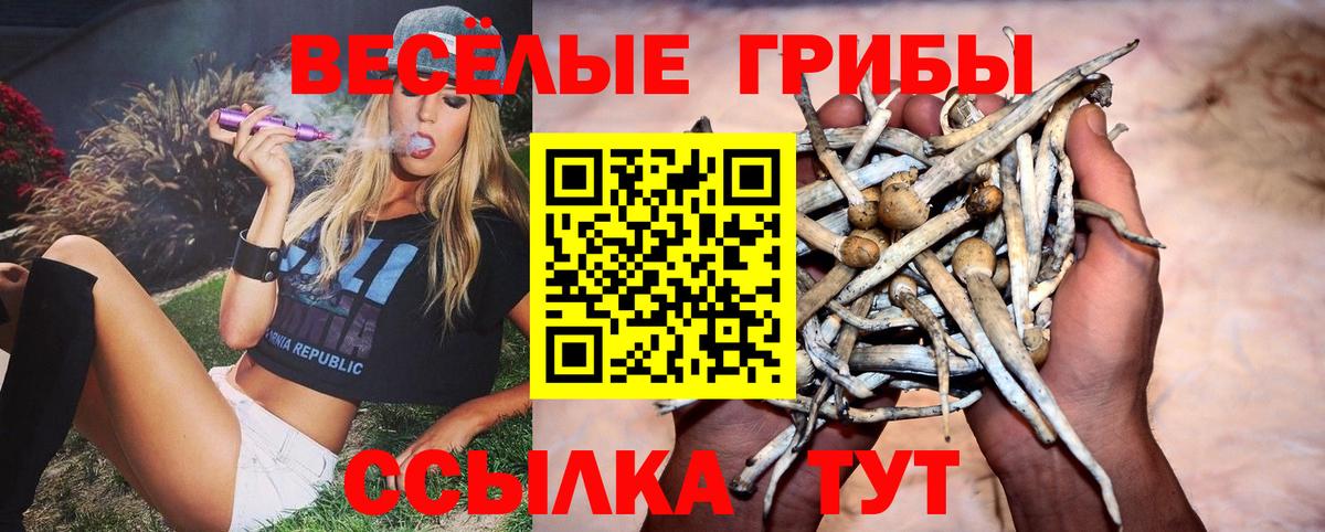 Галлюциногенные грибы GOLDEN TEACHER Нововоронеж