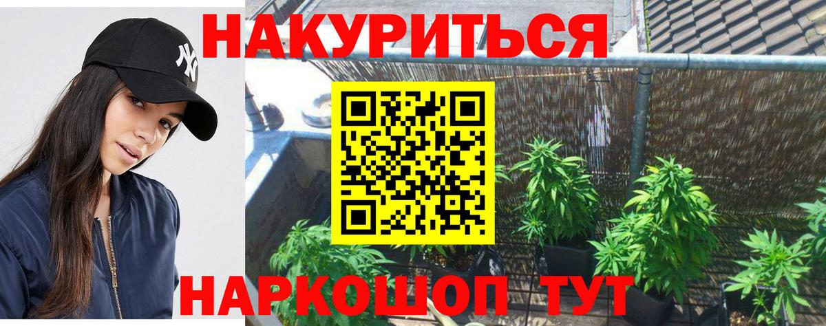 Шишки марихуана SATIVA & INDICA  Вход с VPN  Бошки Шишки семена  Нововоронеж 